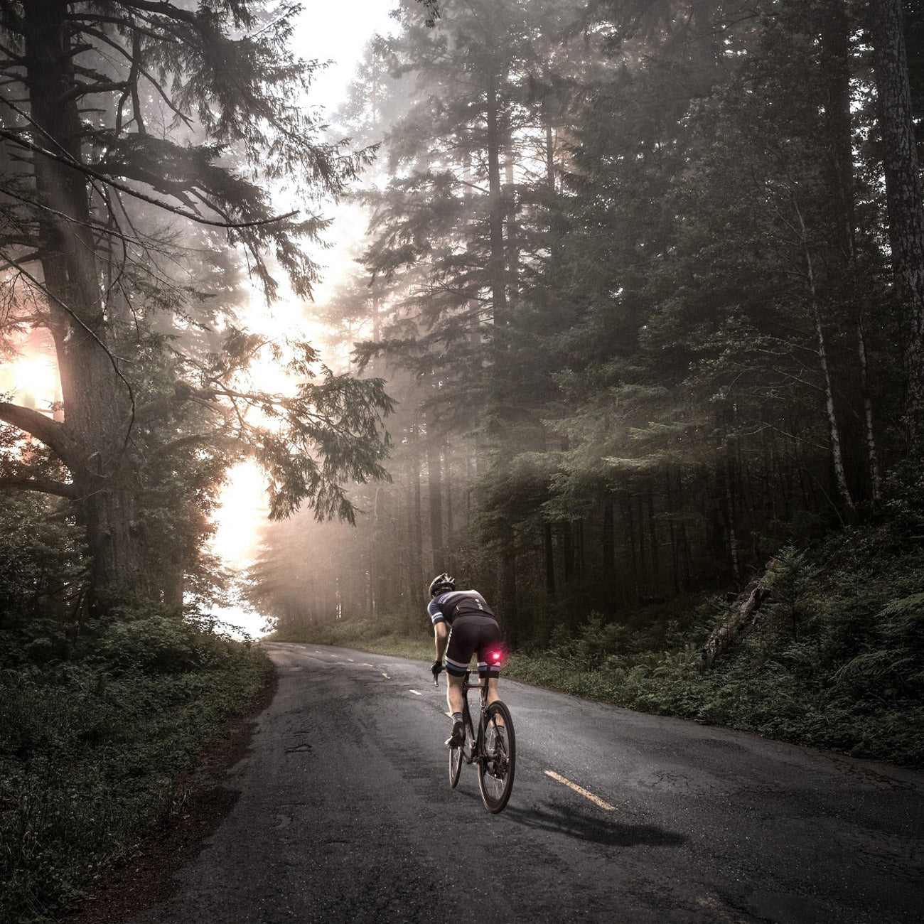 luce per bici giant numen uniclip tl dettaglio foto in action