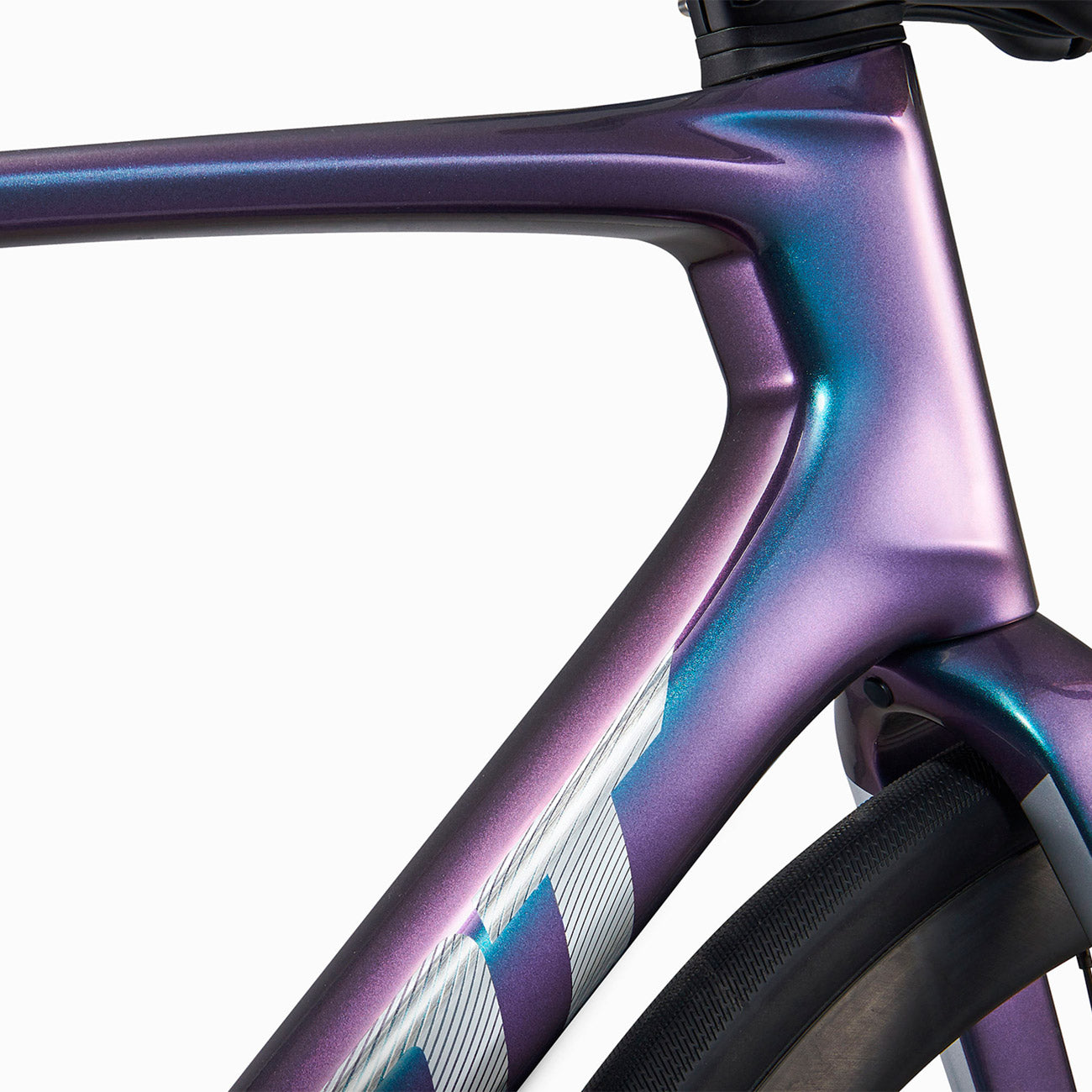 foto dettaglio colorazione telaio in carbonio blue dragonfly bicicletta da corsa