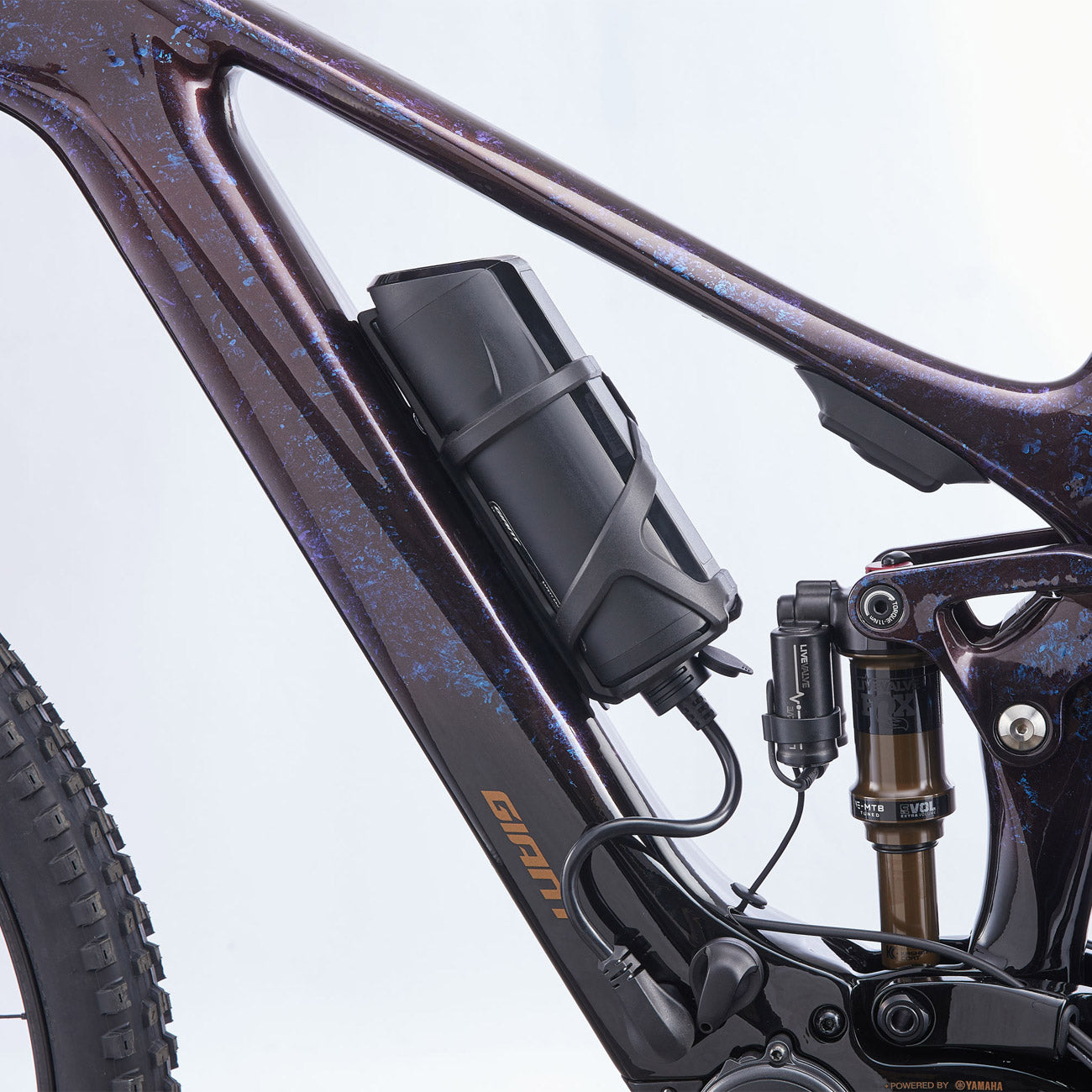 Batteria Giant EnergyPak Plus 200 foto illustrativa