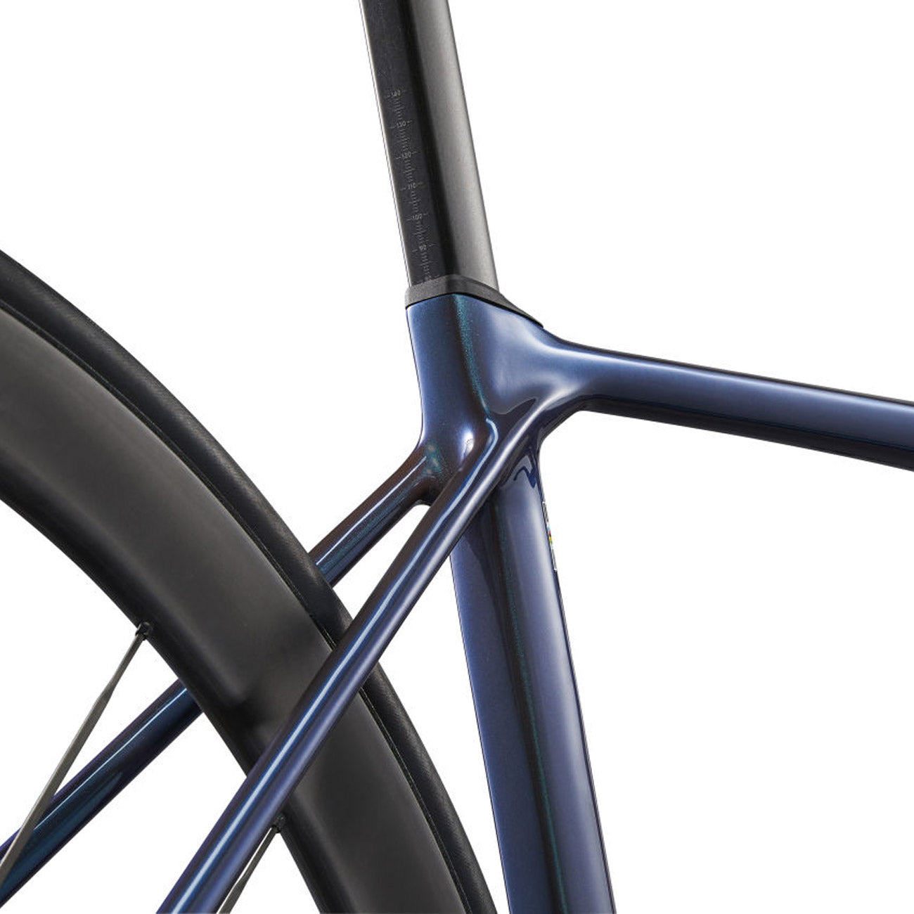 foto bici da corsa dettaglio foderi posteriori bici