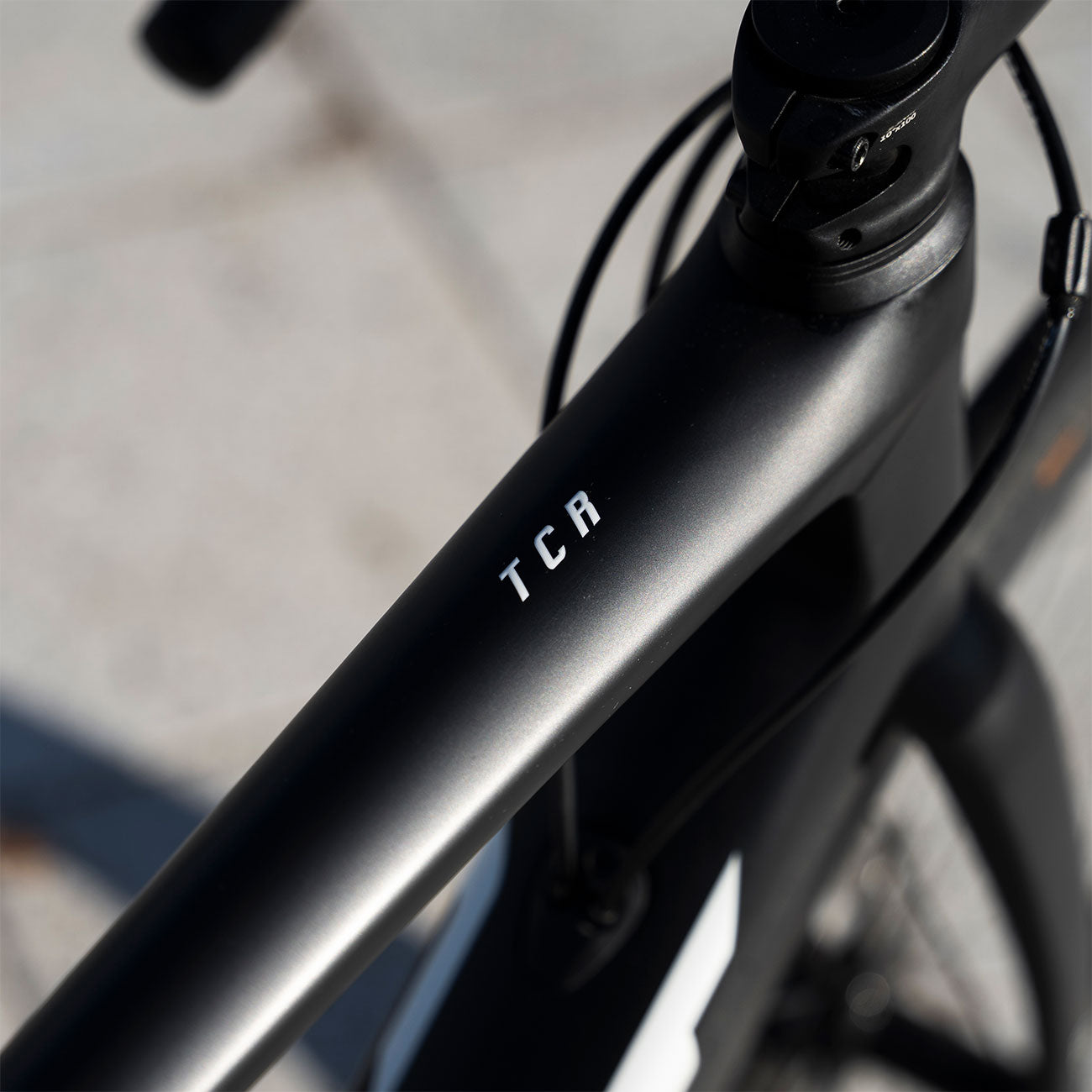 Foto dettaglio logo TCR Giant TCR Advanced Pro Disc Team CCC 1