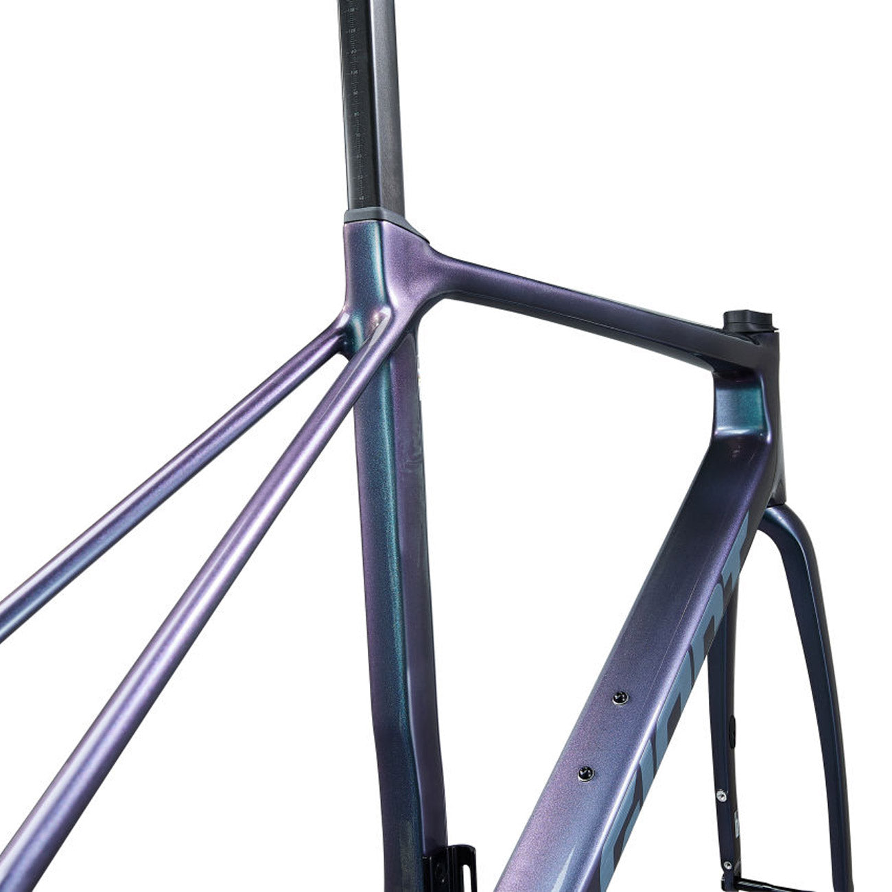 foto telaio dettaglio foderi in carbonio posteriori per bicicletta