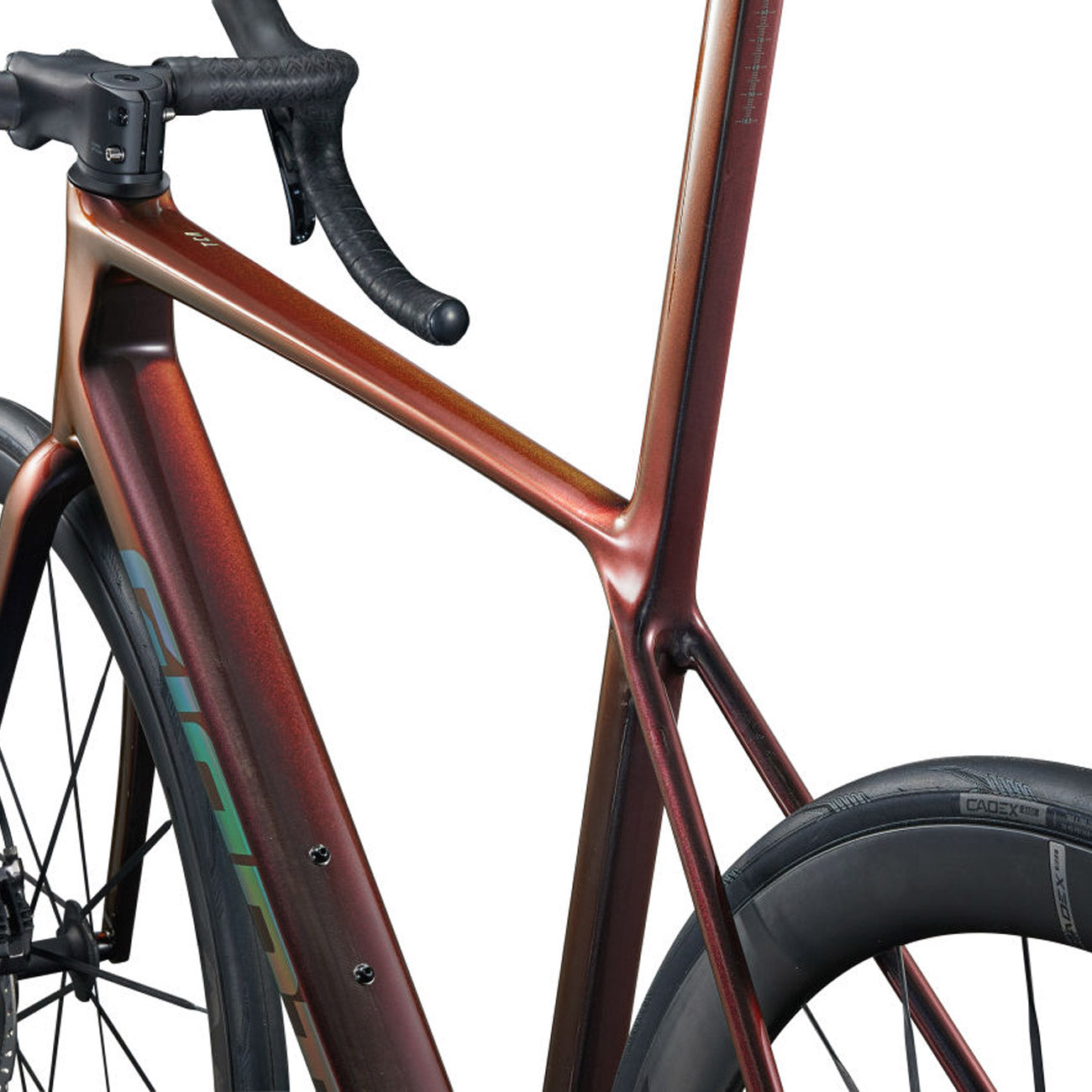 foto dettaglio bici foderi posteriori