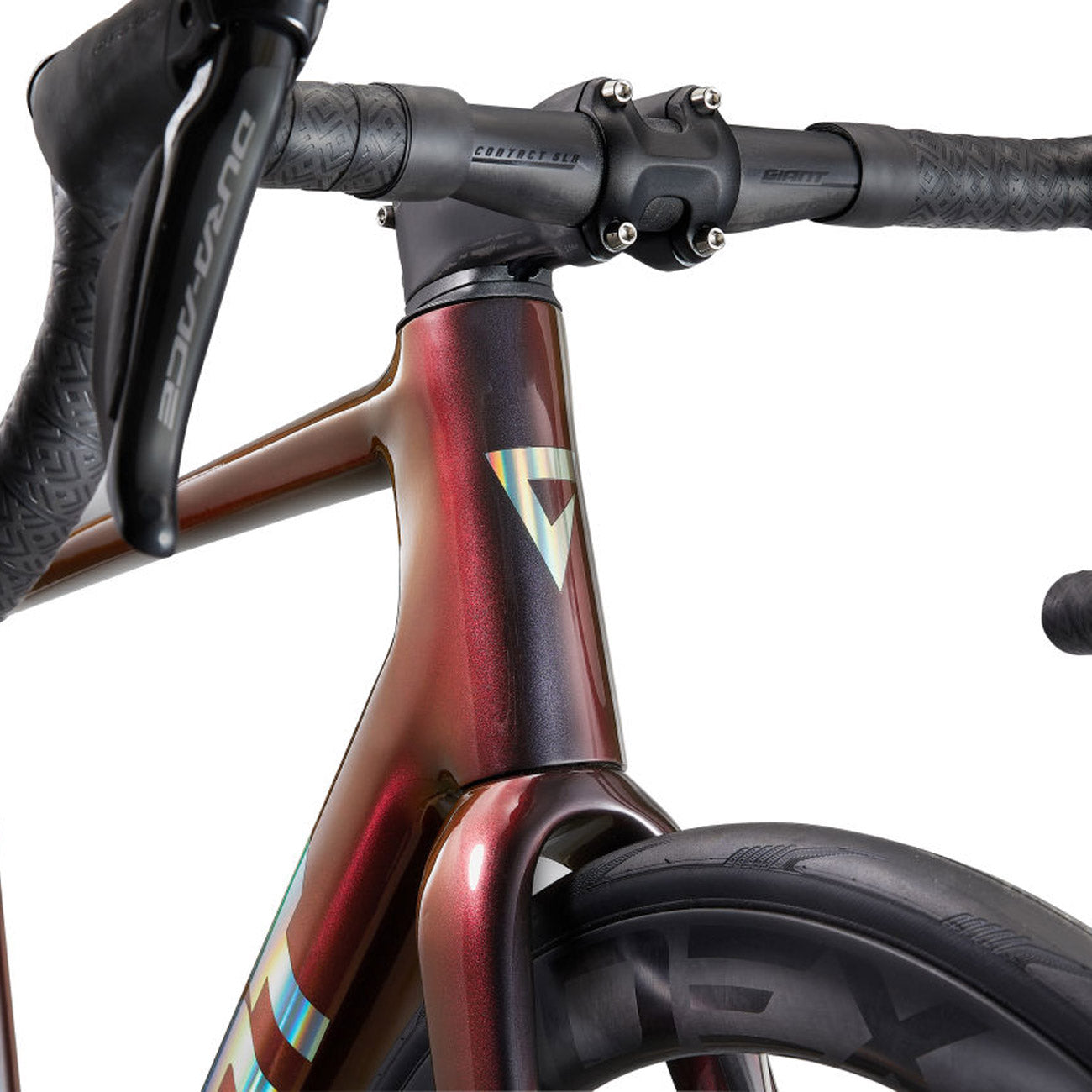 foto dettaglio tcr logo anteriore bici giant