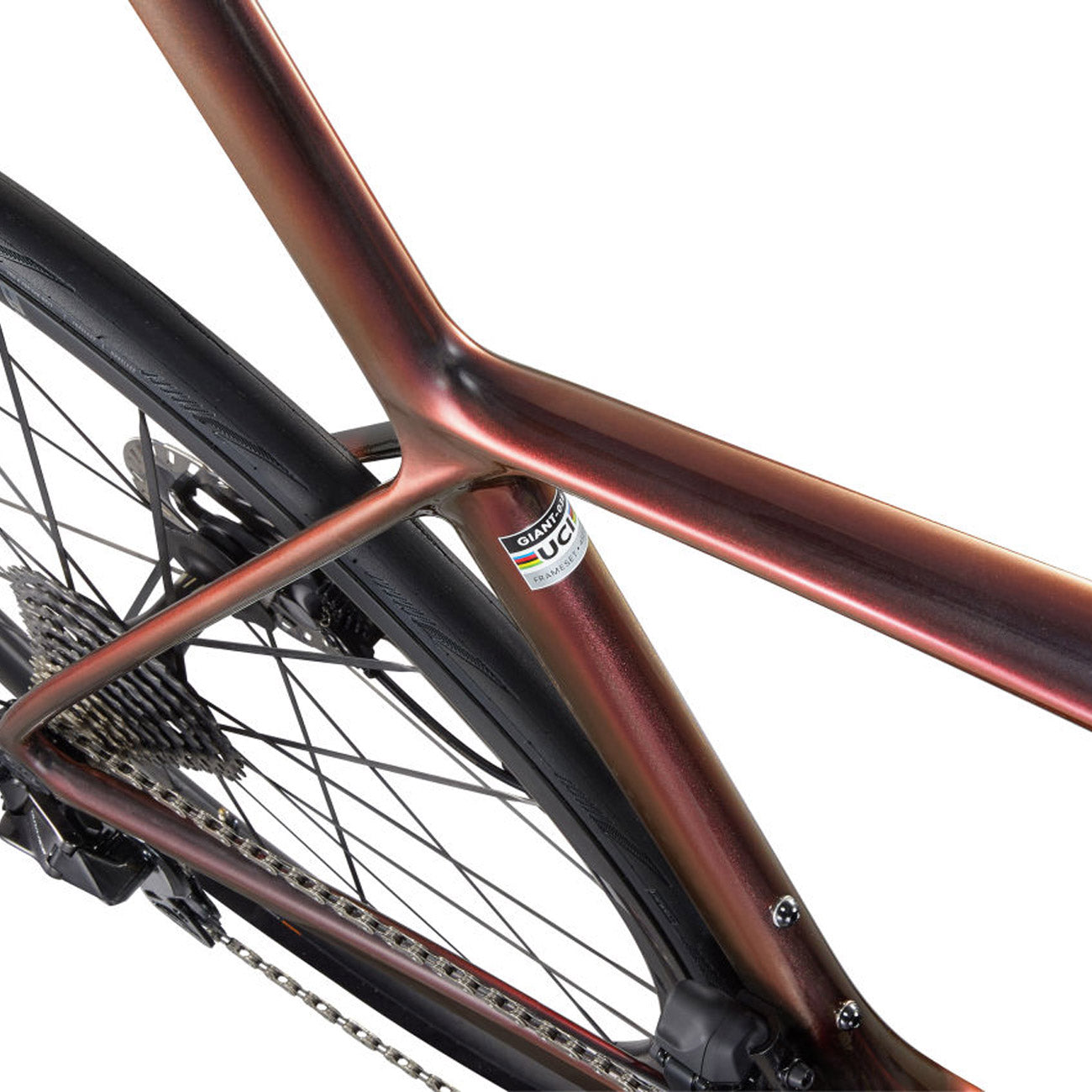 foto bici giant dettaglio foderi posteriori