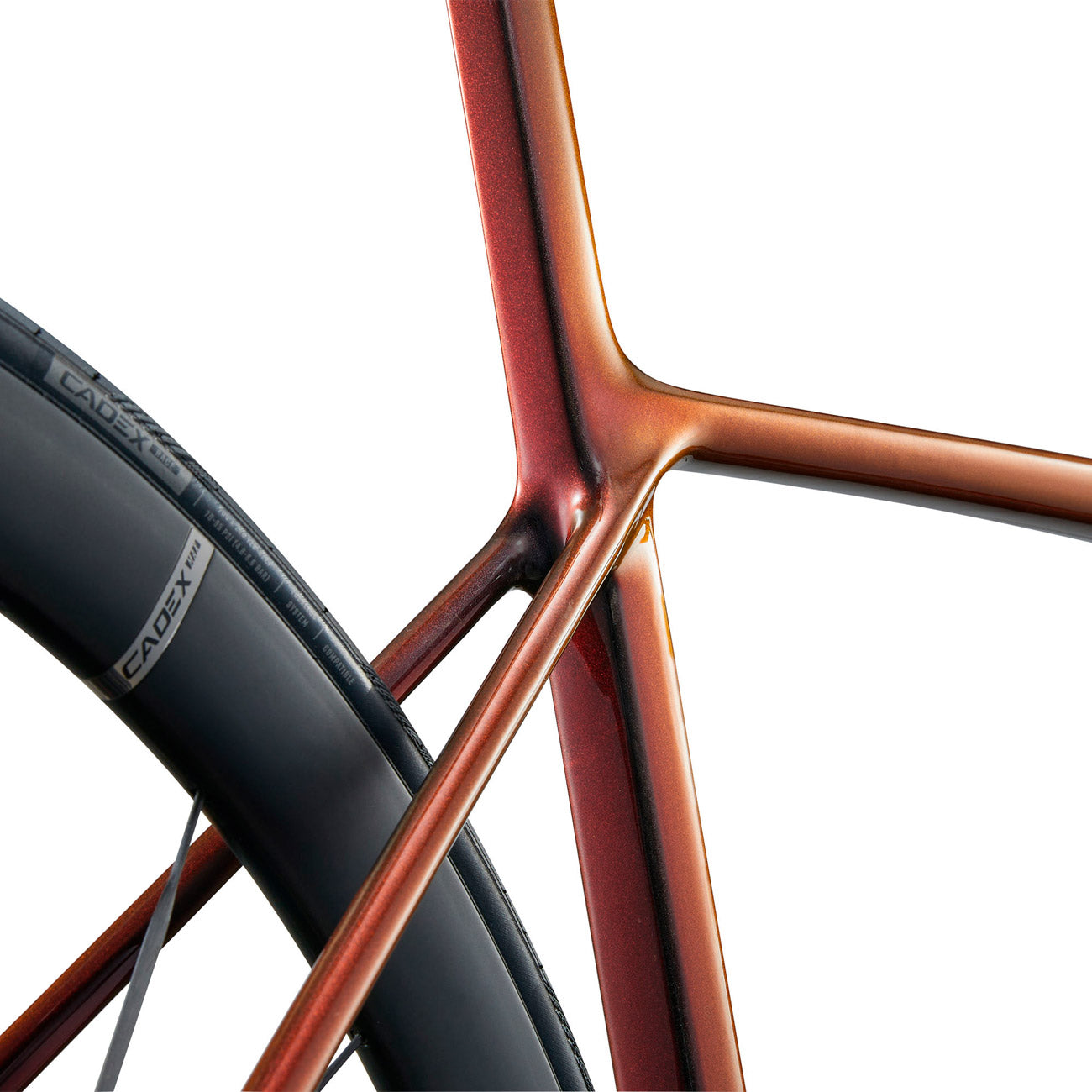 foto dettaglio foderi posteriori bici da corsa giant