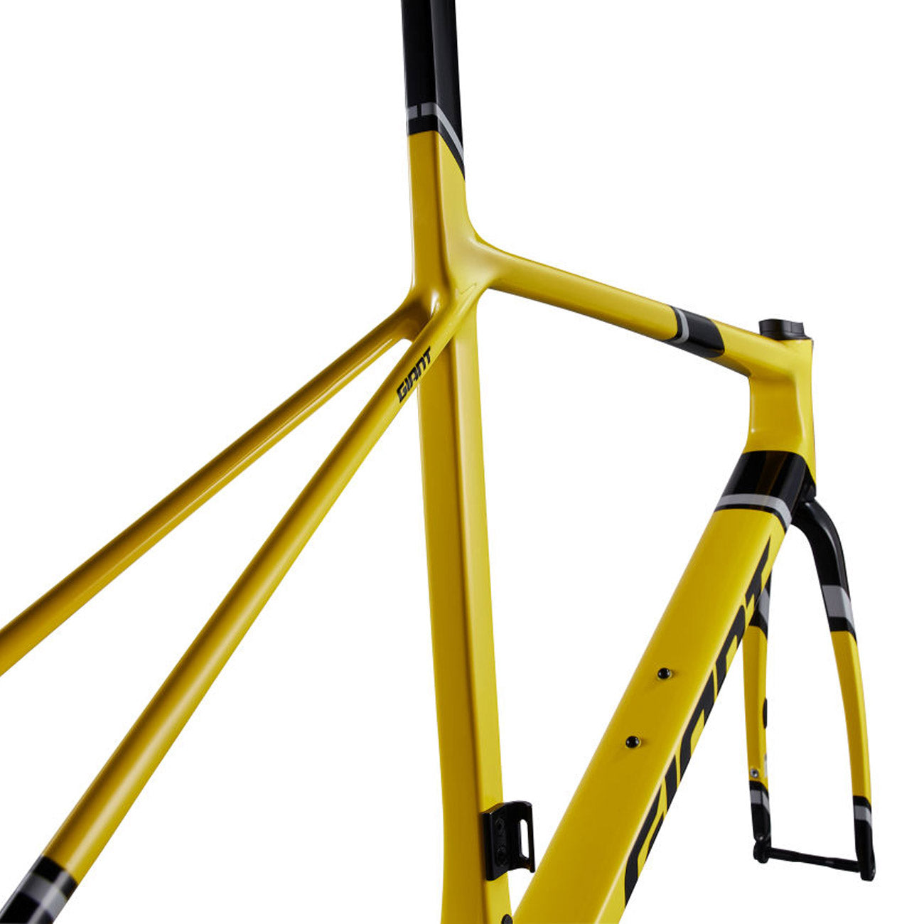 kit telaio Giant TCR Advanced SL FF Legends Edition - Novo Cicli