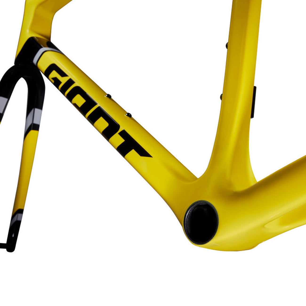 foto dettaglio bici giant tcr frameset scatola movimento centrale