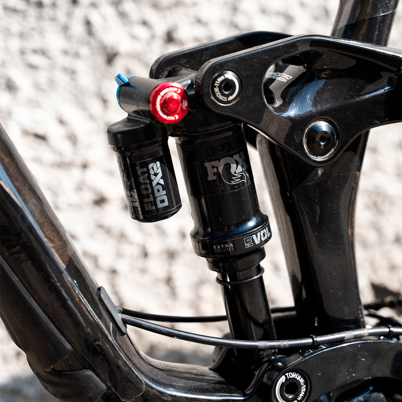 foto dettaglio Giant Trance X Pro 1 2022 usata