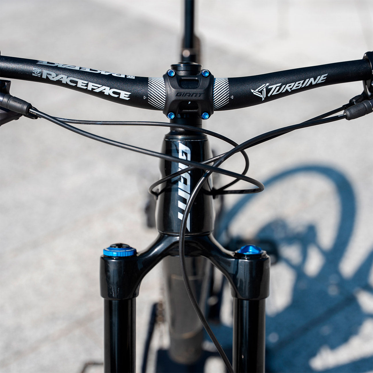 foto dettaglio Giant Trance X Pro 1 2022 usata