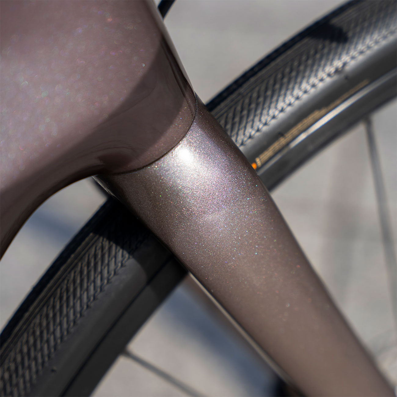 foto dettaglio colorazione bici da corsa Giant Defy Advanced 1 2023 taglia S