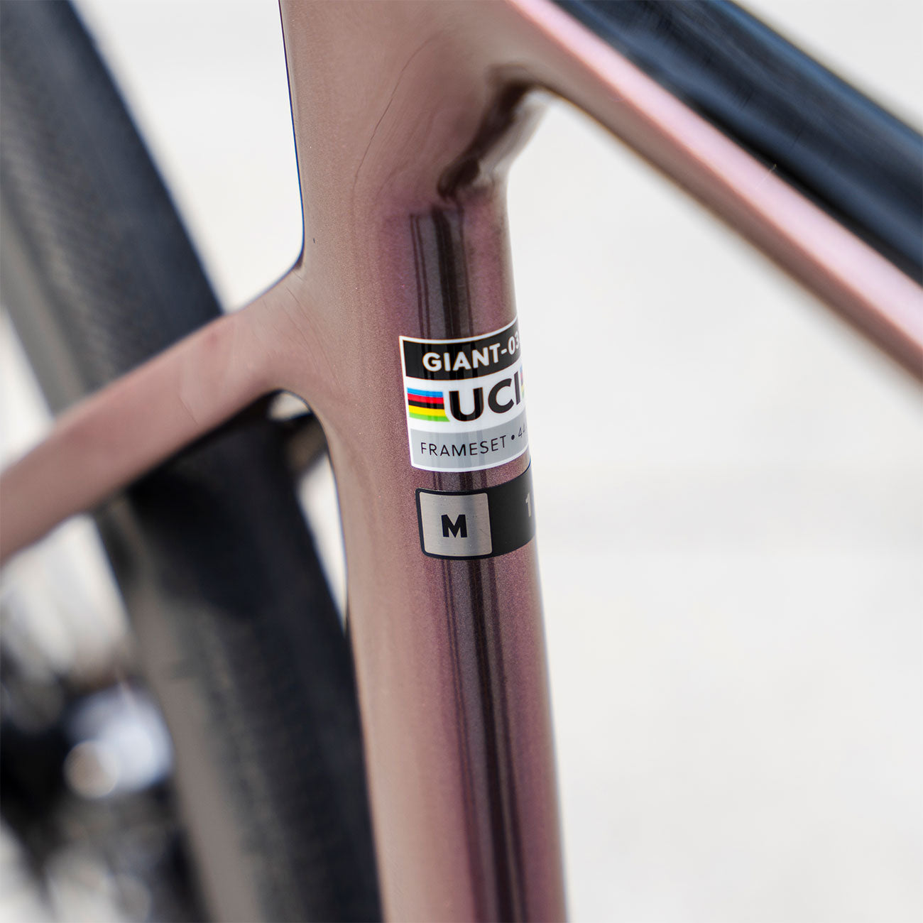 Foto dettaglio taglia Giant Propel Advanced 1 2023 usata