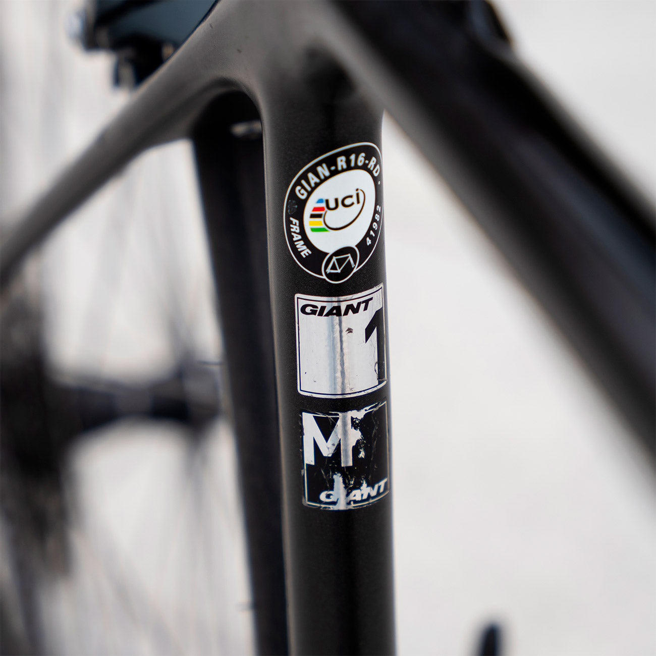 Giant TCR Advanced dettaglio taglia M