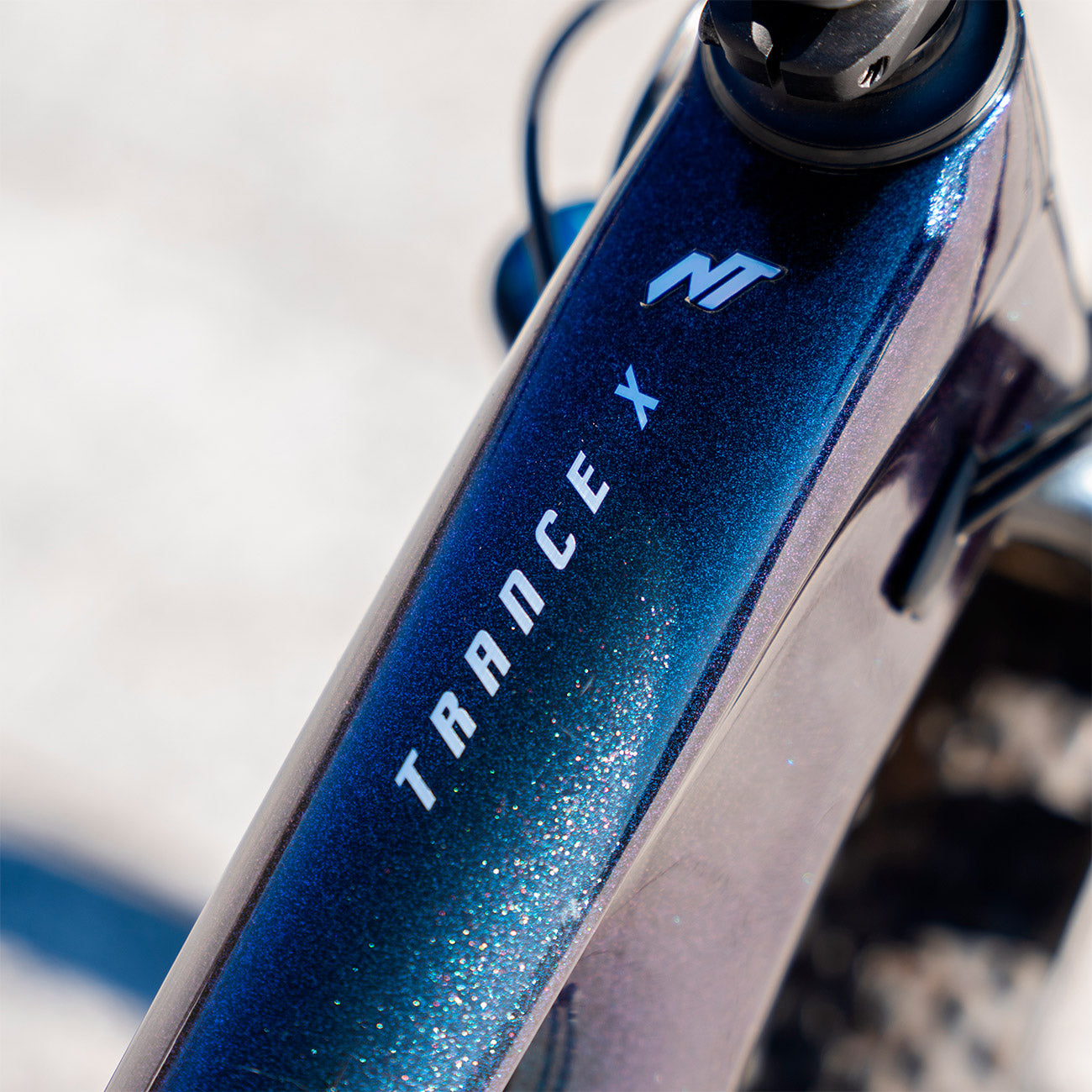 Foto dettaglio logo giant Giant Trance X