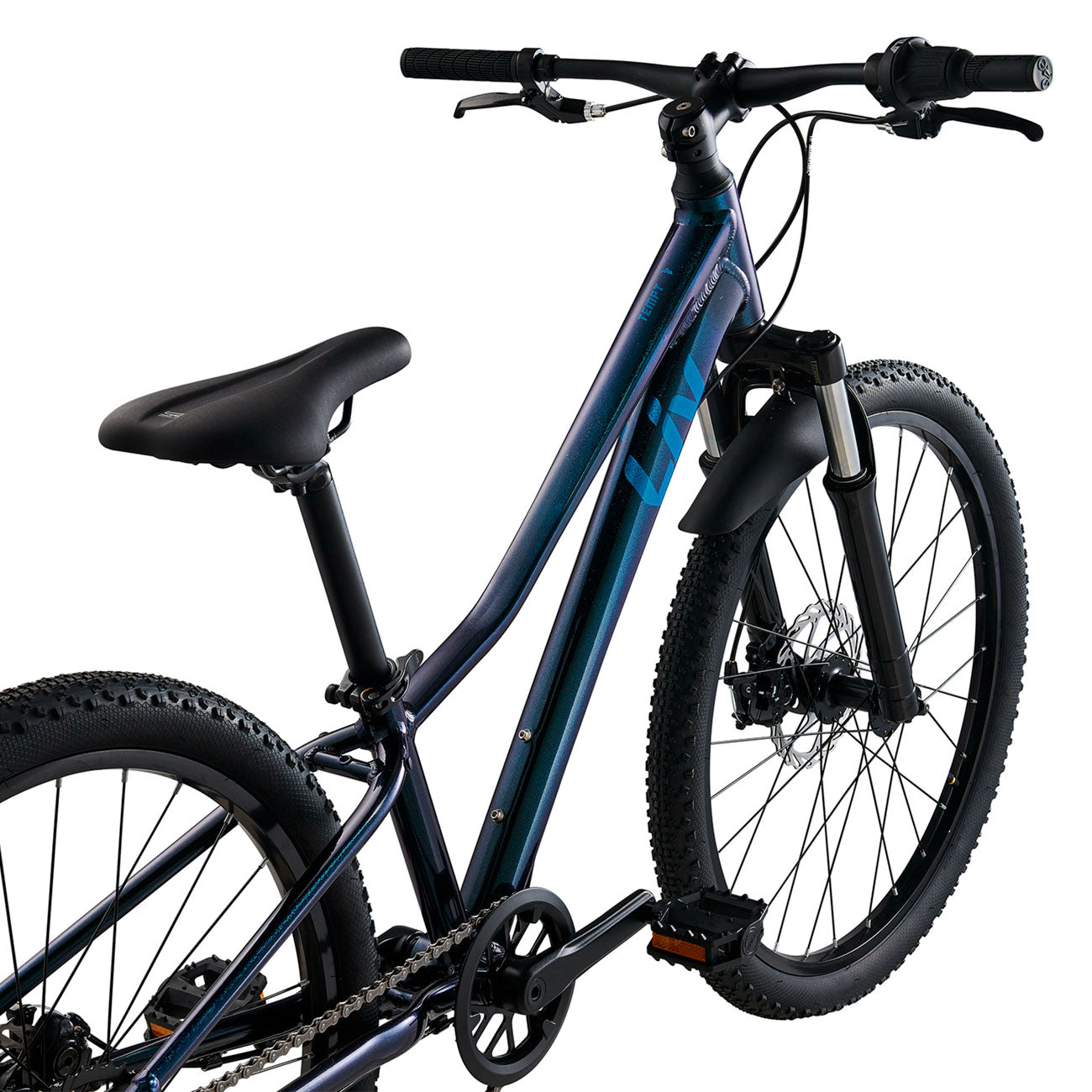Liv Tempt 24 Disc bicicletta bambino vista posteriore