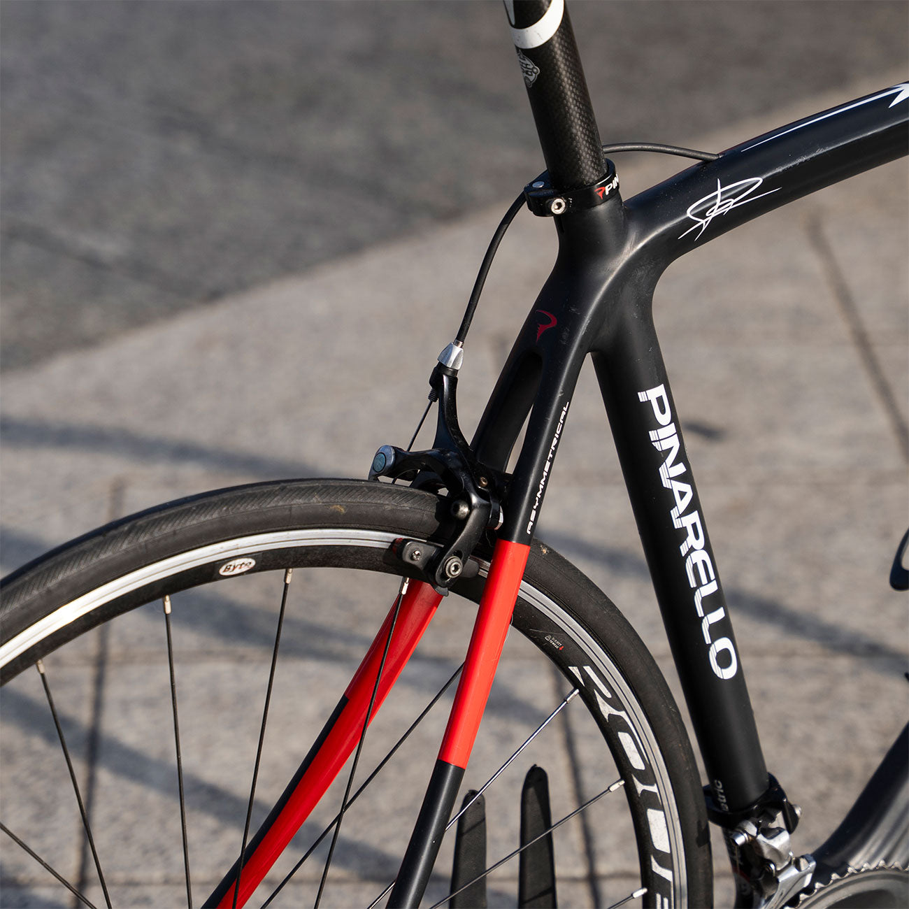 Foto dettaglio foderi posteriori bicicletta Pinarello Razha