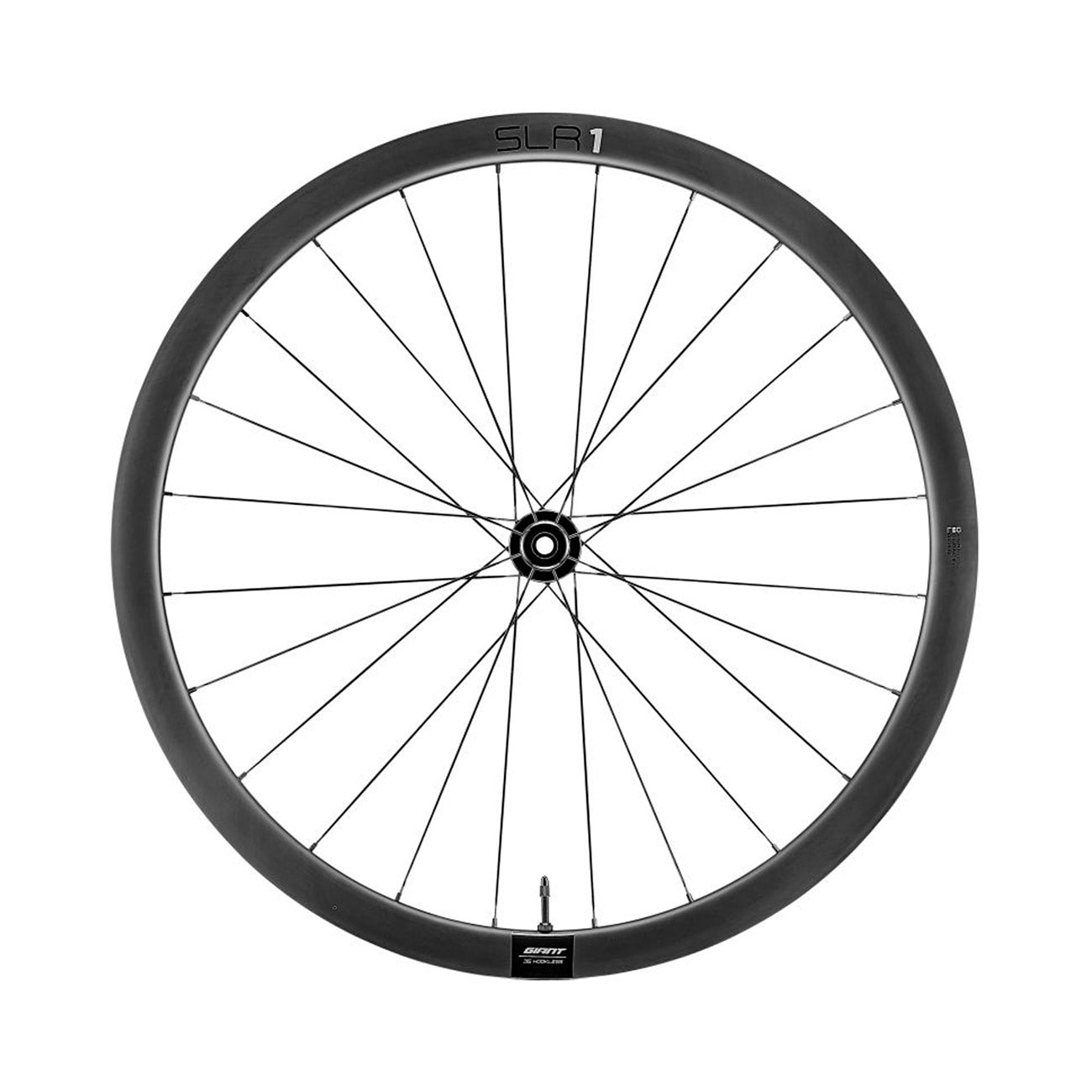Ruota anteriore Giant SLR 1 Tubeless Carbon Disc 36