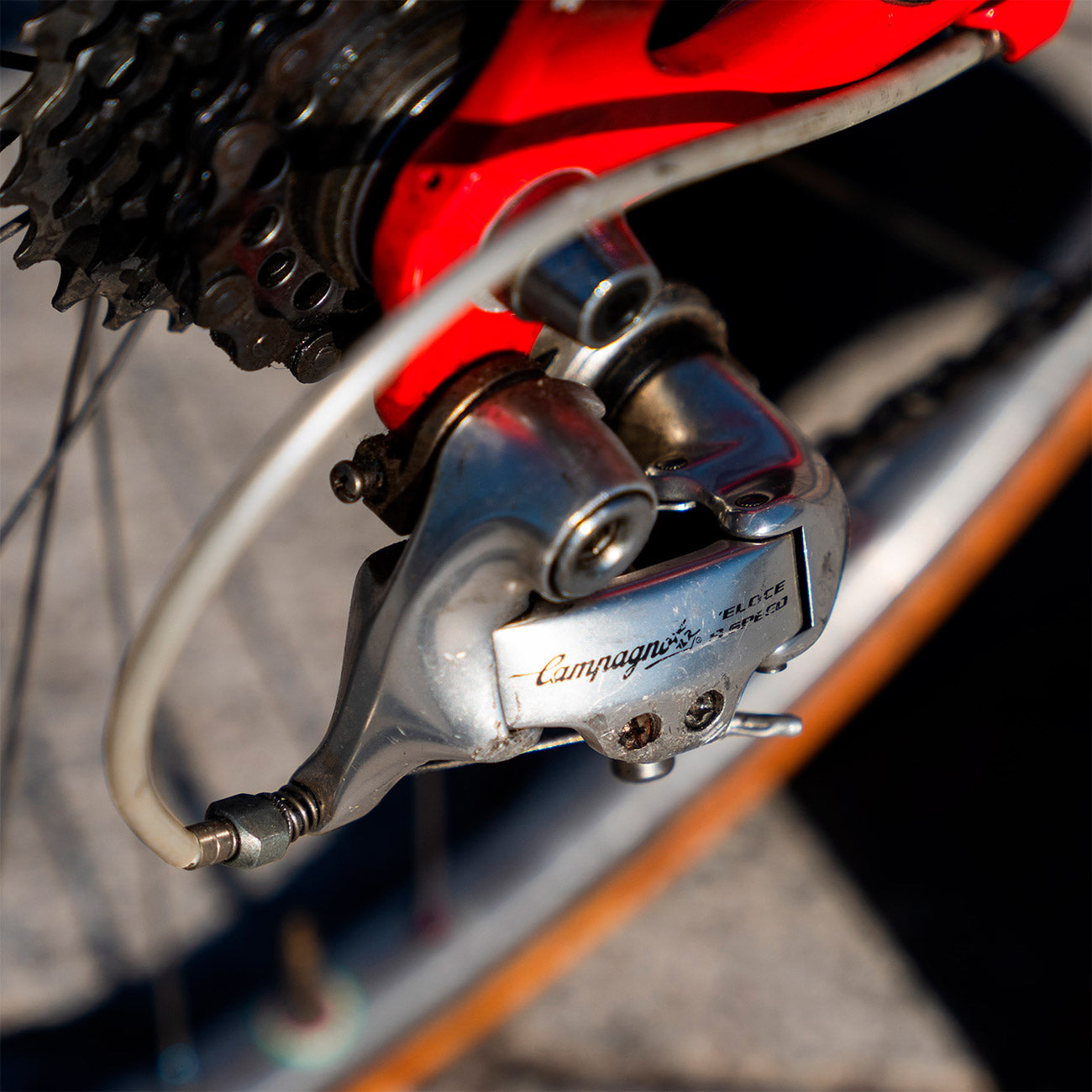 sarto bikes 26" bicicletta da corsa bambino 26 pollici