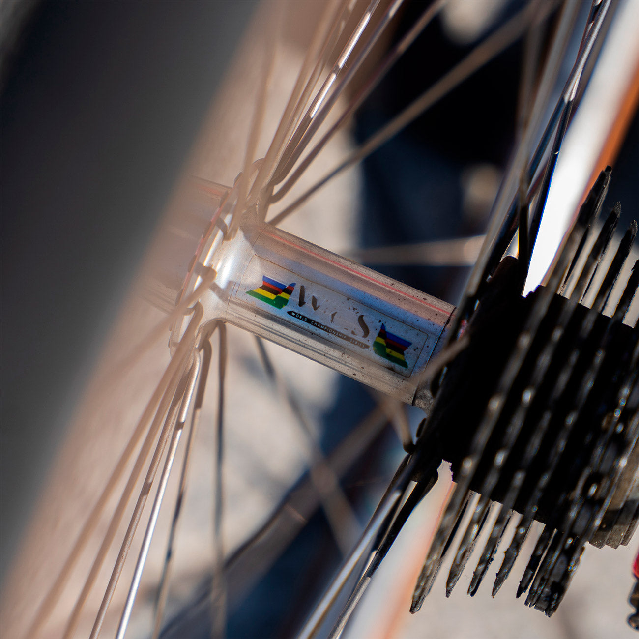 sarto bikes 26" bicicletta da corsa 26 pollici