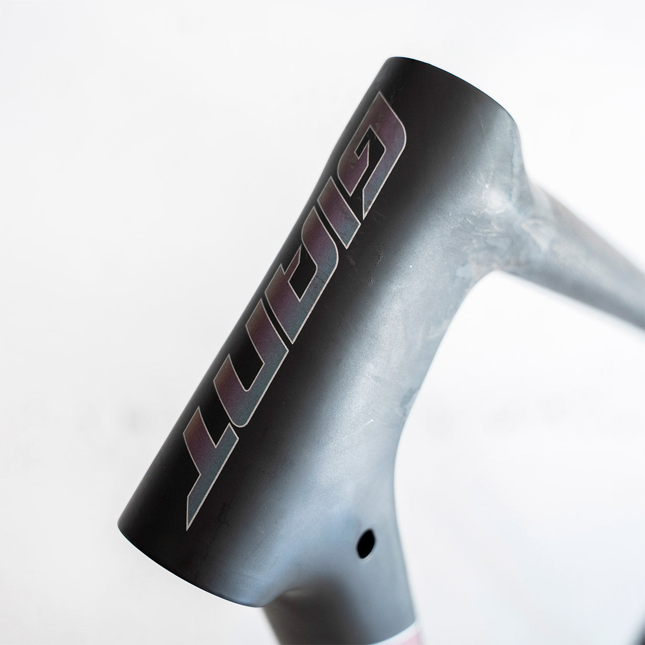 foto dettaglio logo giant