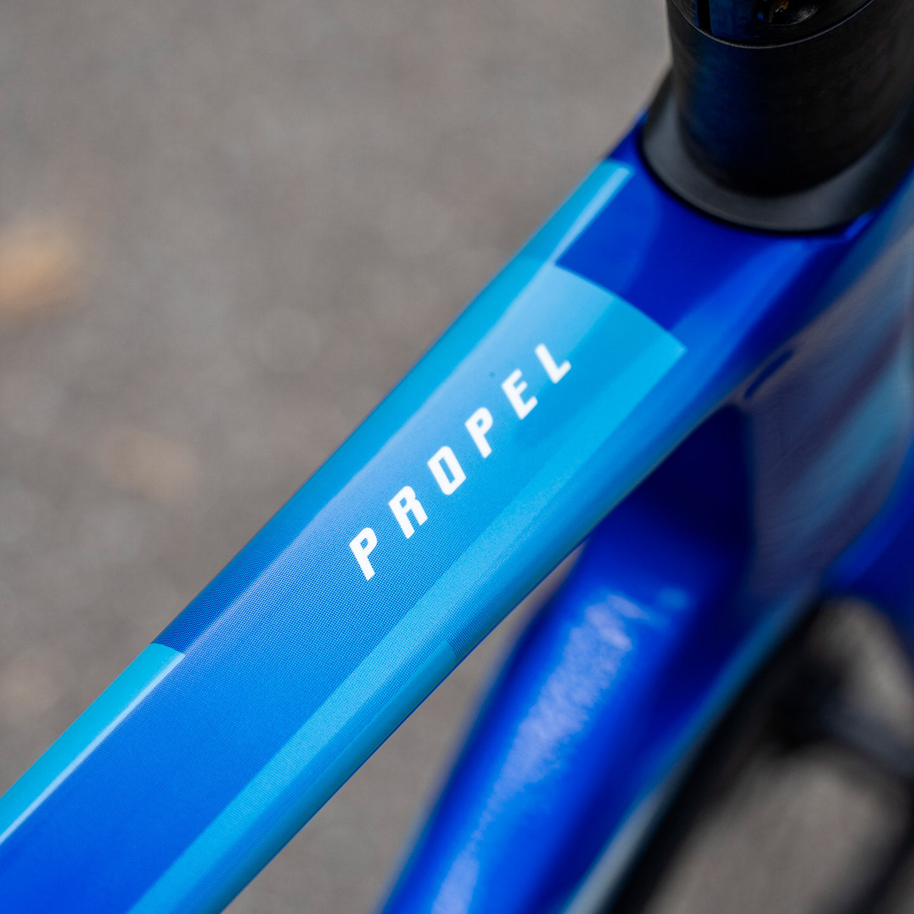 foto dettaglio logo propel