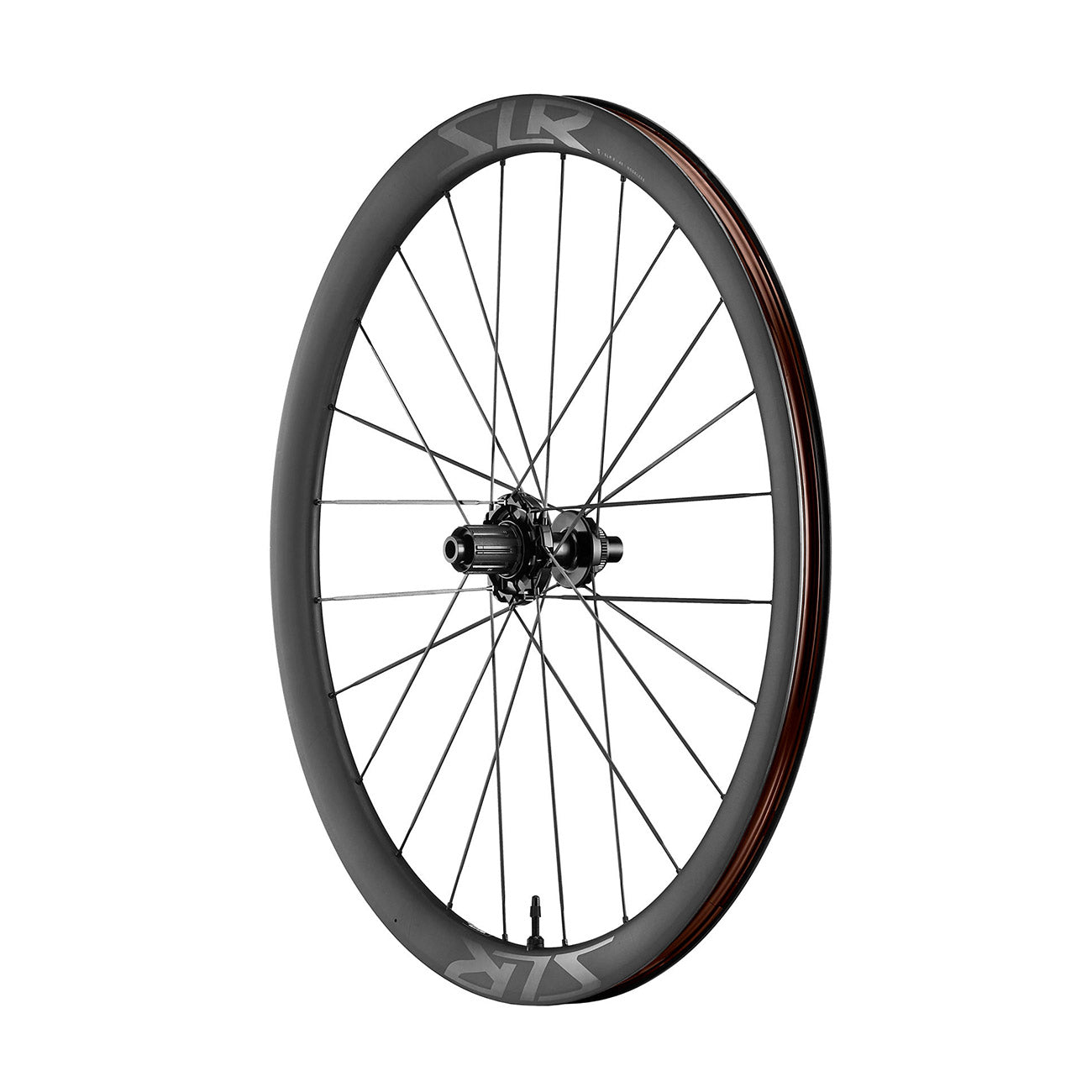 foto dettaglio ruota posteriore giant slr 0 disco in carbonio