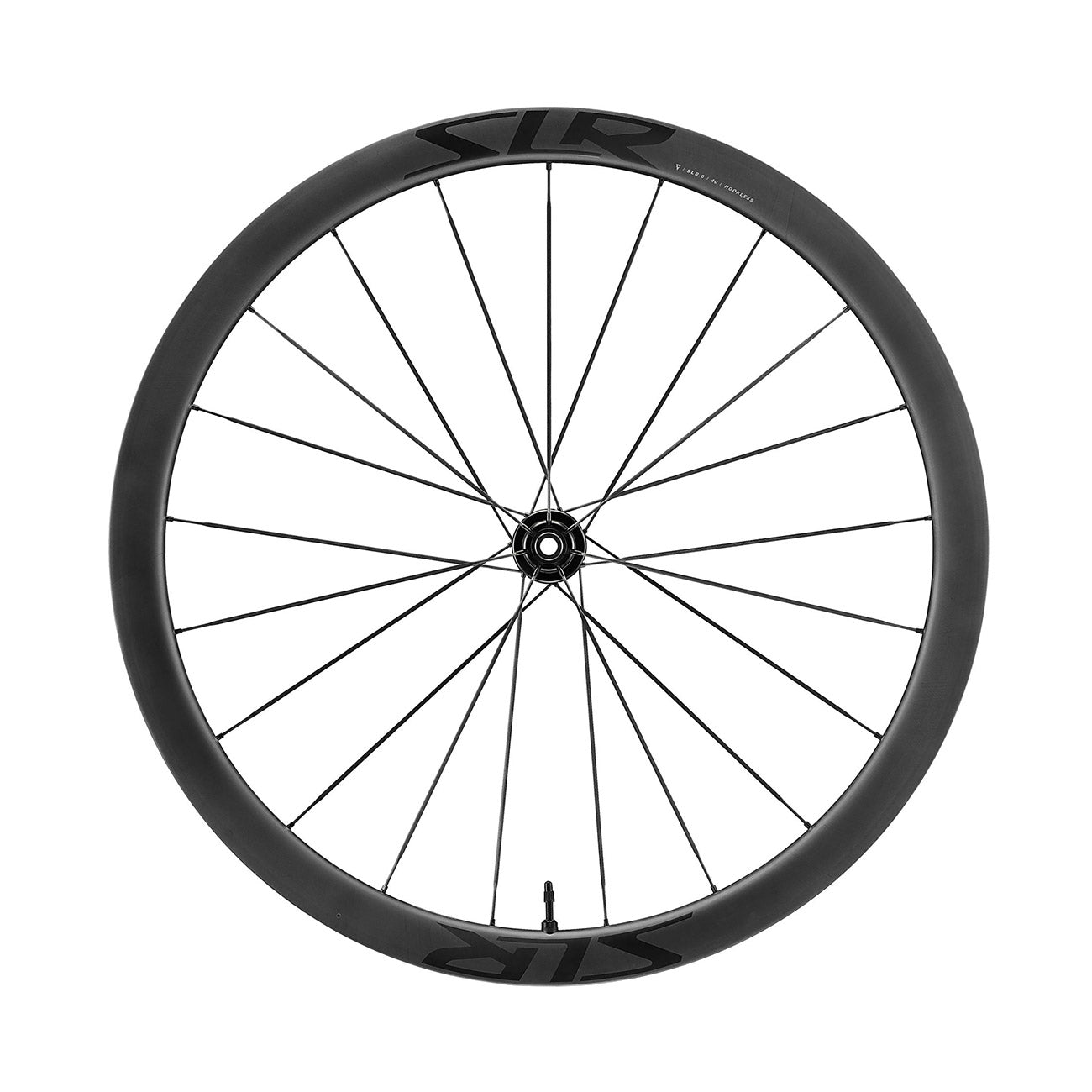 foto dettaglio profilo cerchio ruota anteriore giant