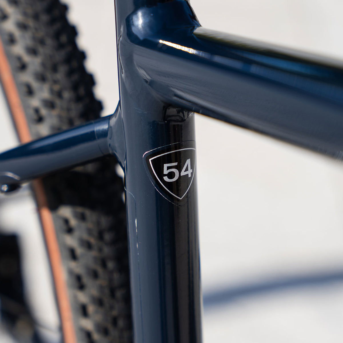 Bici Usata Specialized Diverge Comp E5 2023 foto dettaglio taglia 54