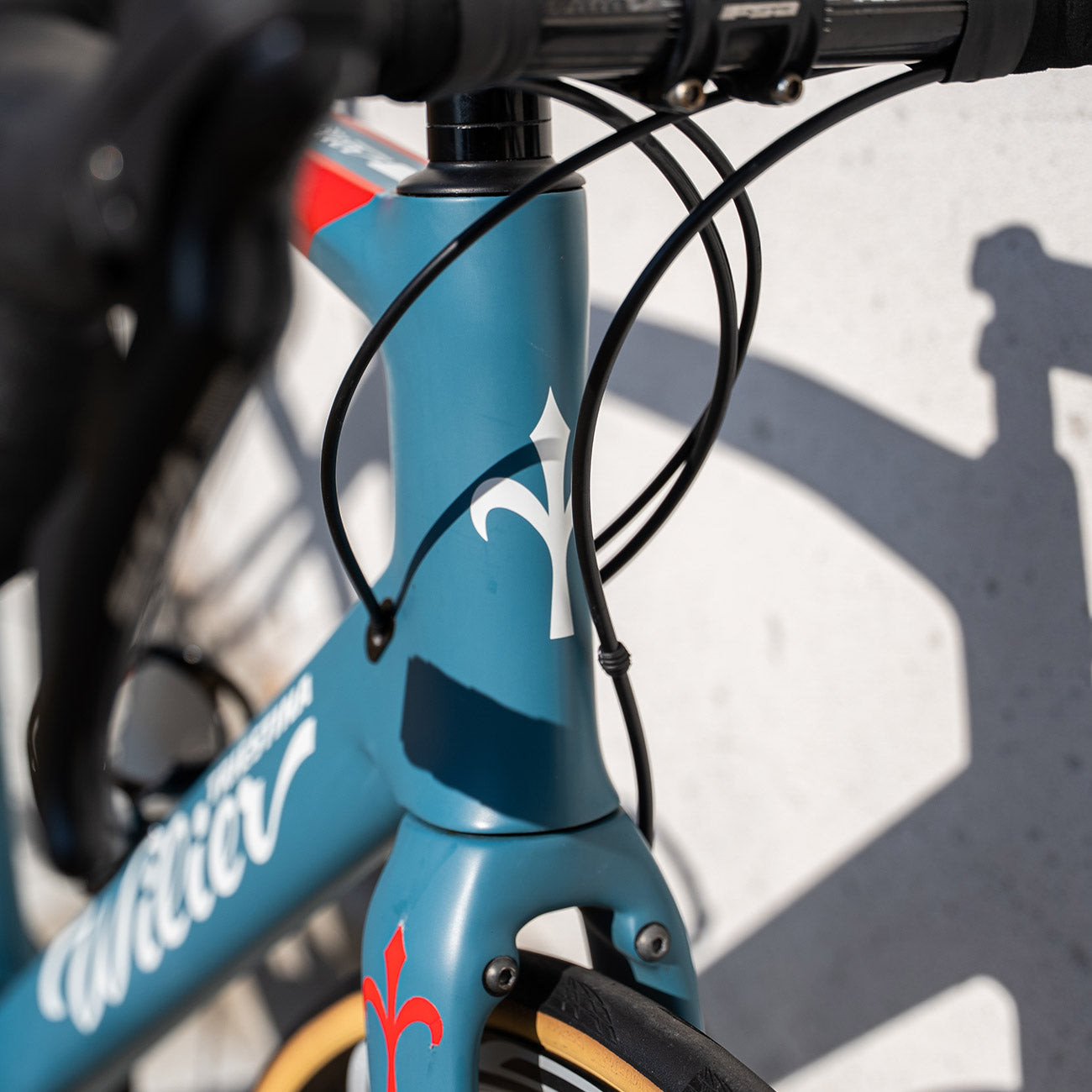 foto dettaglio tridente logo anteriore telaio bici