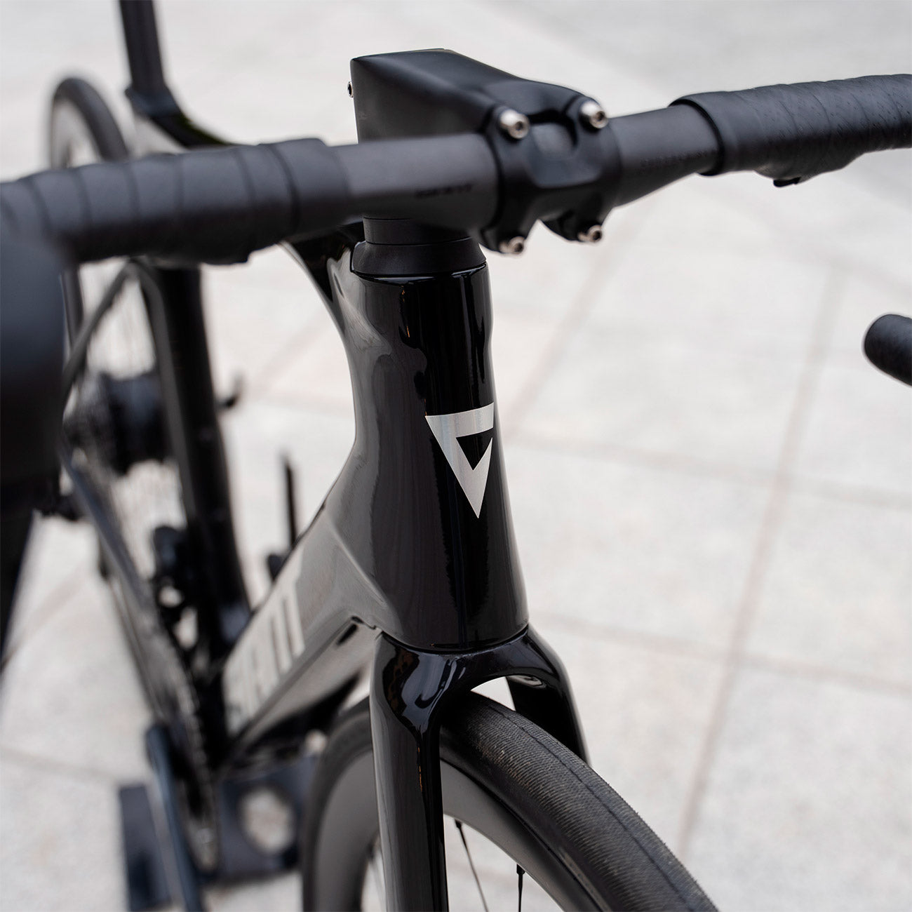 defy advanced e+ elite dettaglio logo bici 