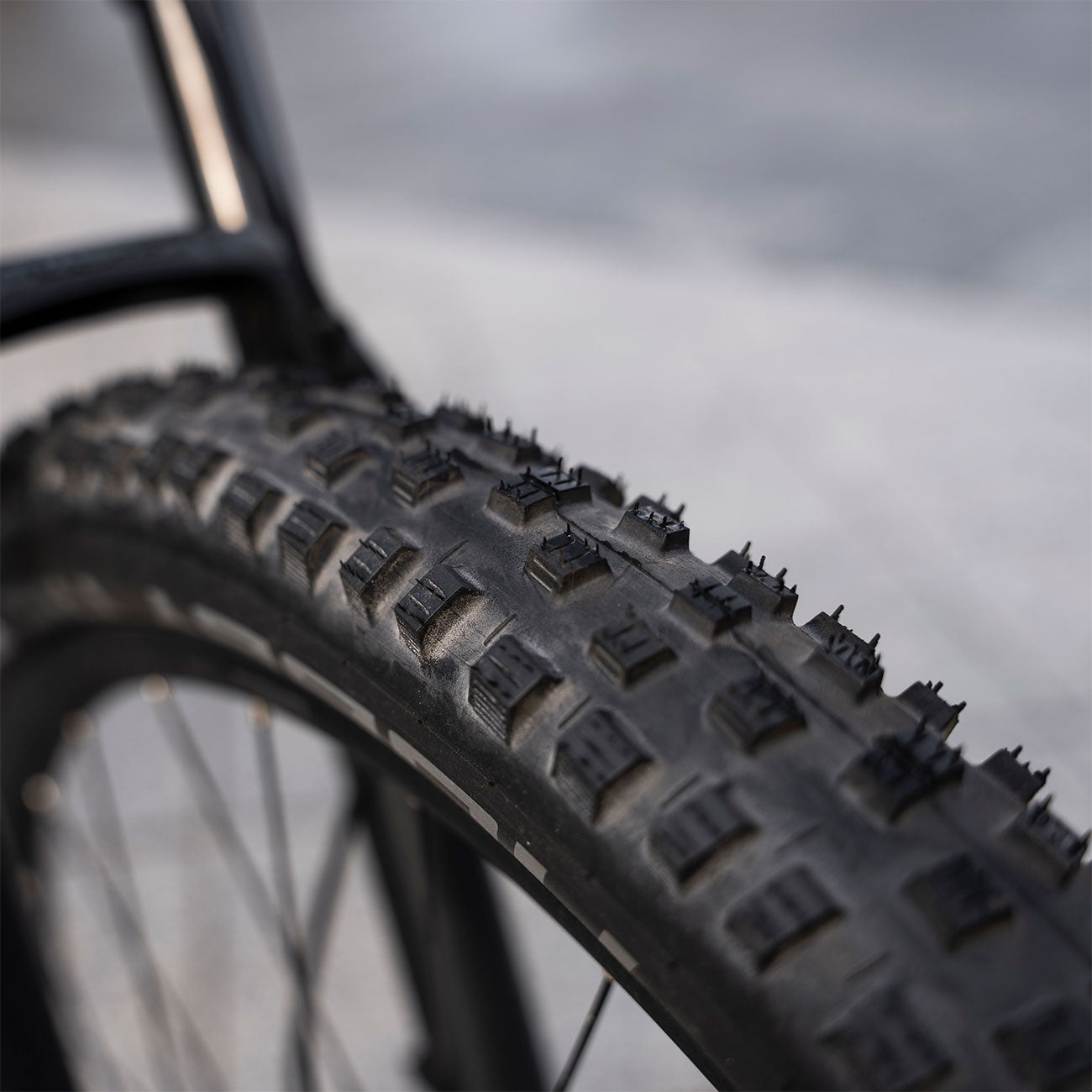 foto dettaglio copertone nuovo Giant Stance E+ 1 625