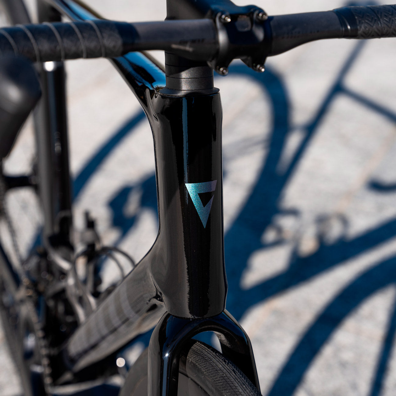 dettaglio logo anteriore giant bicicletta da corsa in carbonio