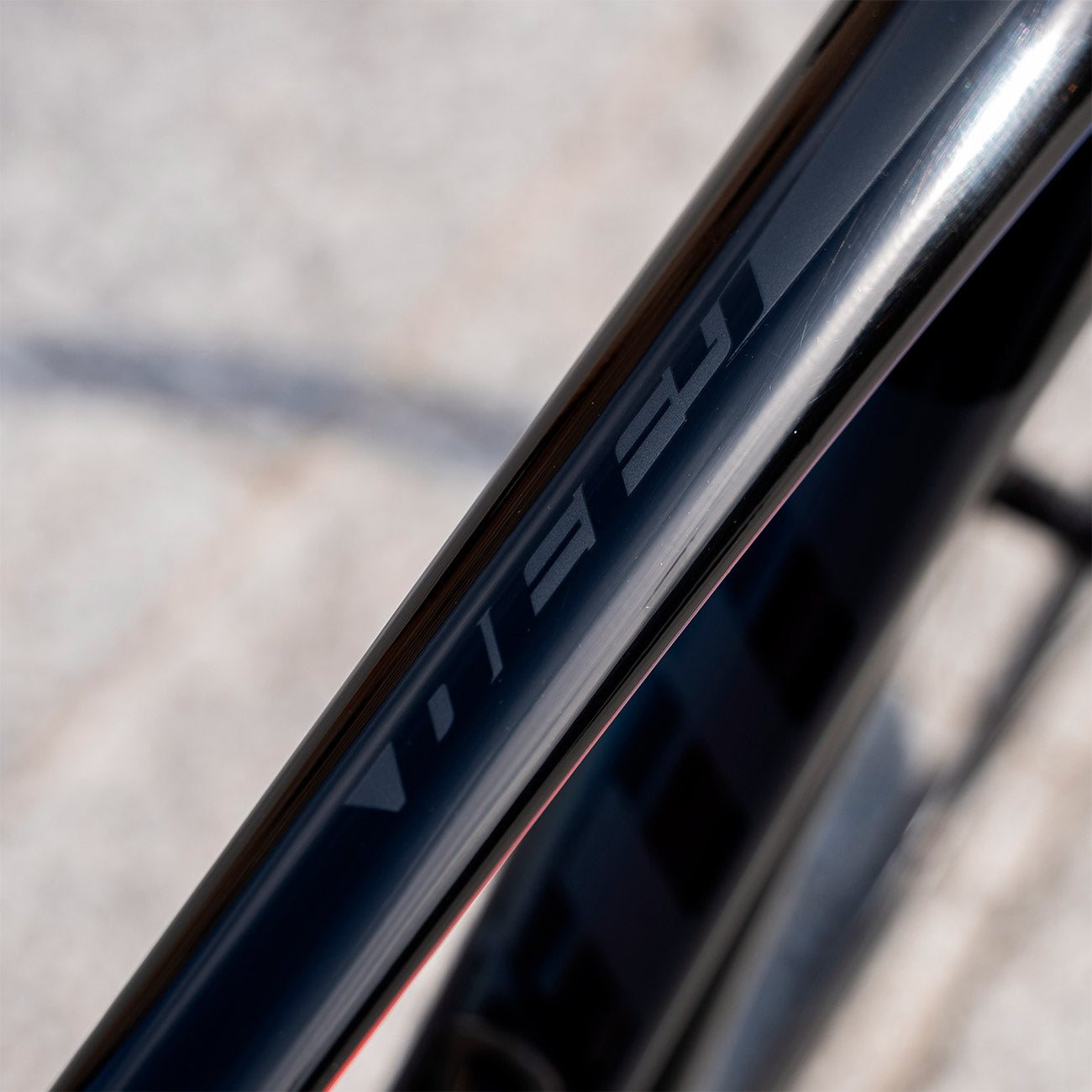 foto dettaglio logo giant defy