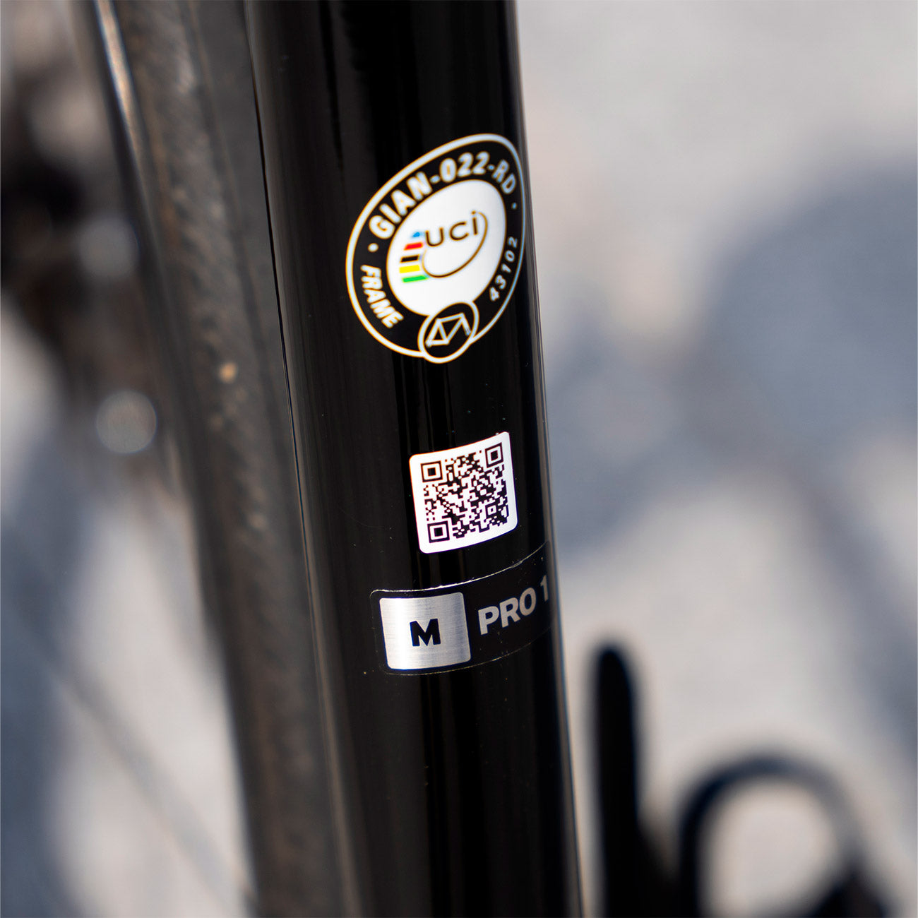 foto dettaglio taglia bicicletta da corsa giant defy advanced pro 1