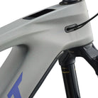 Foto dettaglio colorazione moon dust Giant Reign Advanced E+ 2