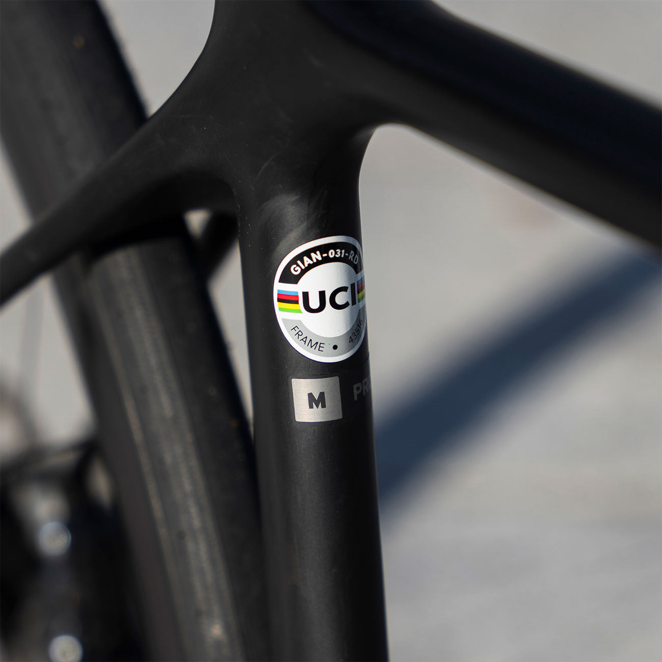 Foto dettaglio UCI Giant TCR Advanced Pro Disc Team CCC 1