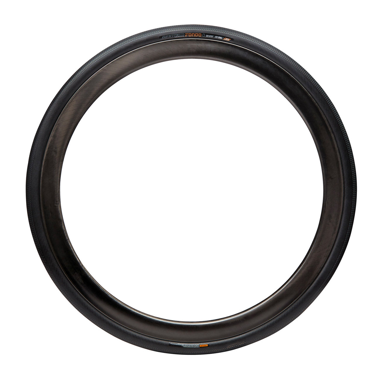foto laterale copertone tubeless giant gavia 