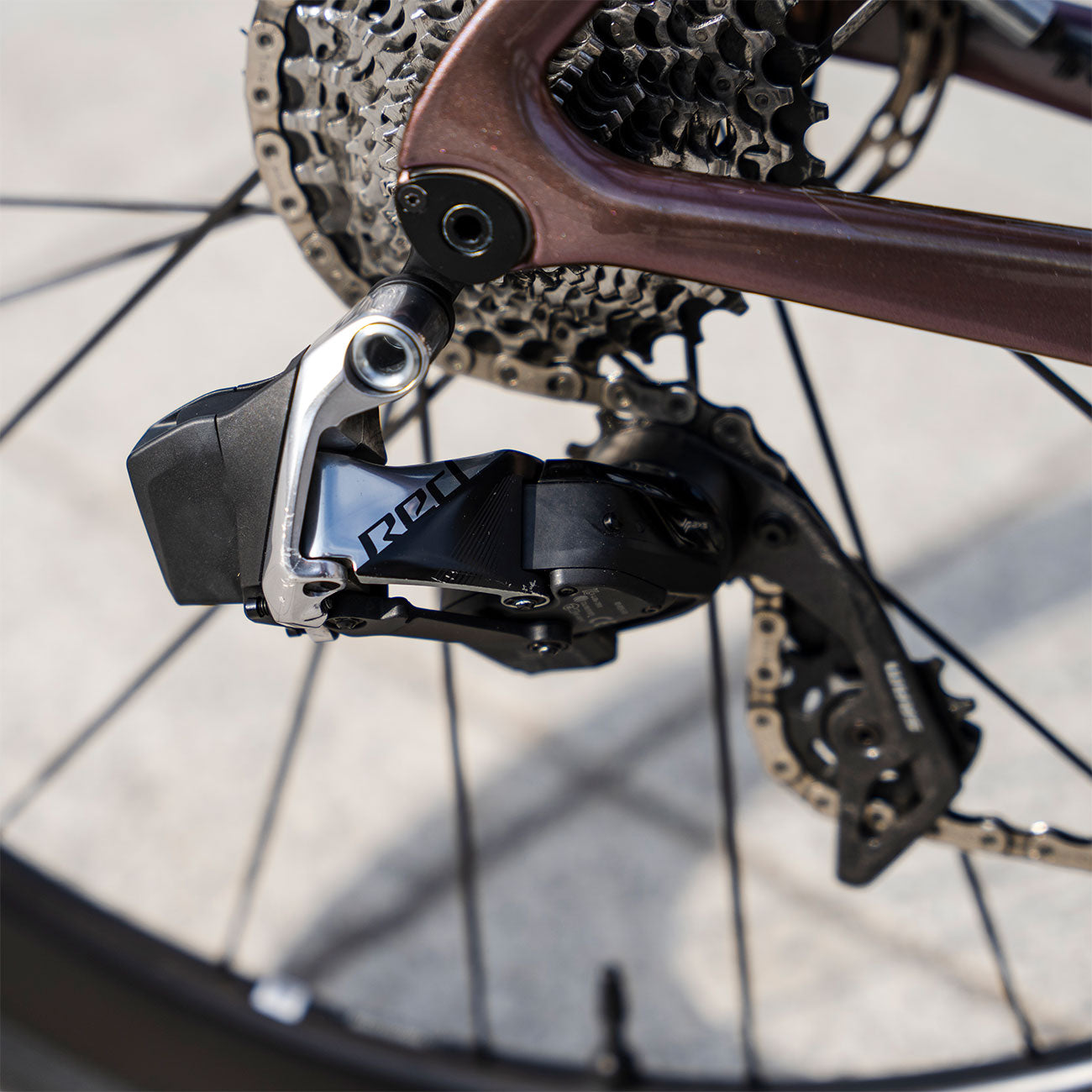 Foto dettaglio RED Giant Propel Advanced 1 2023 usata