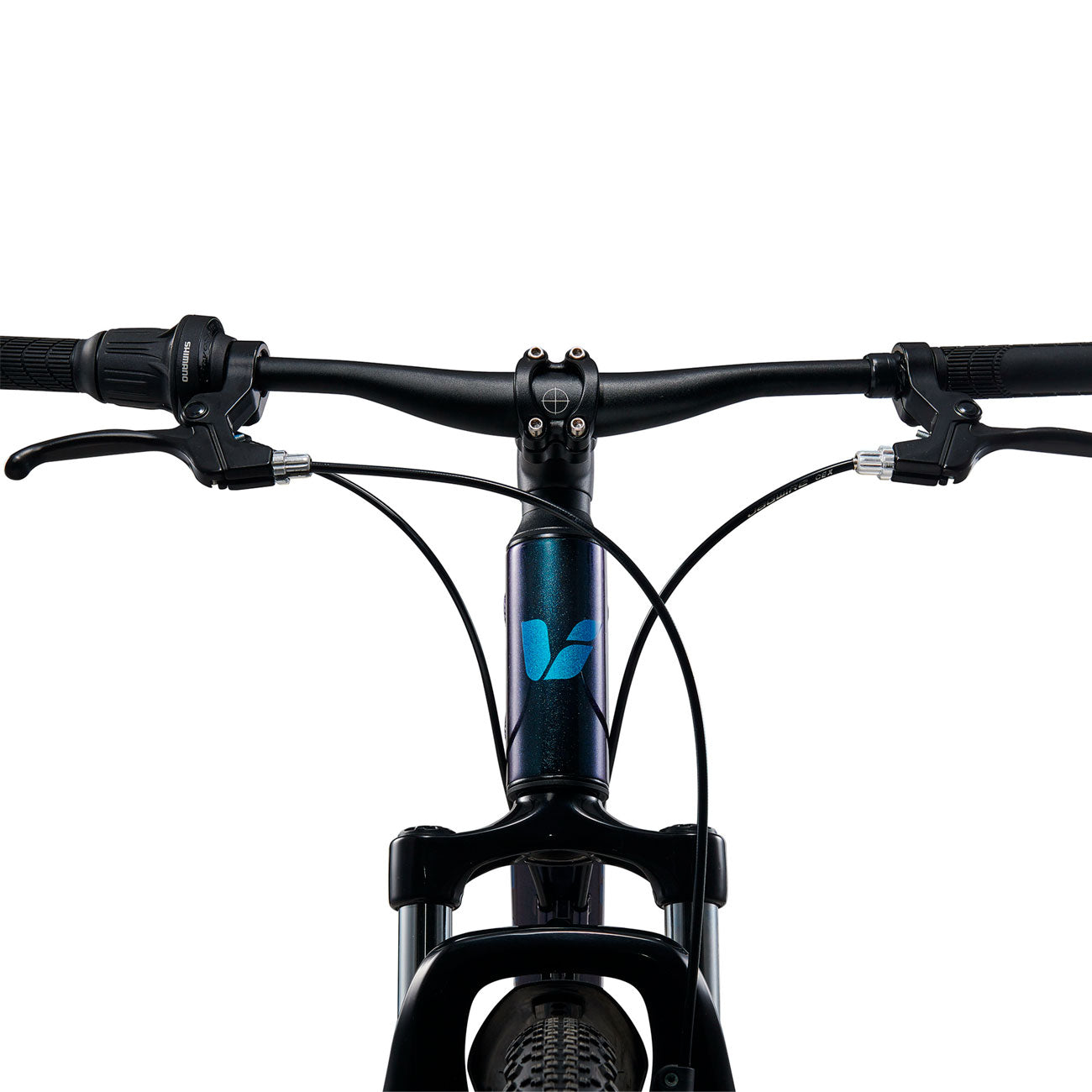 Liv Tempt 24 Disc bicicletta bambino dettaglio frontale 