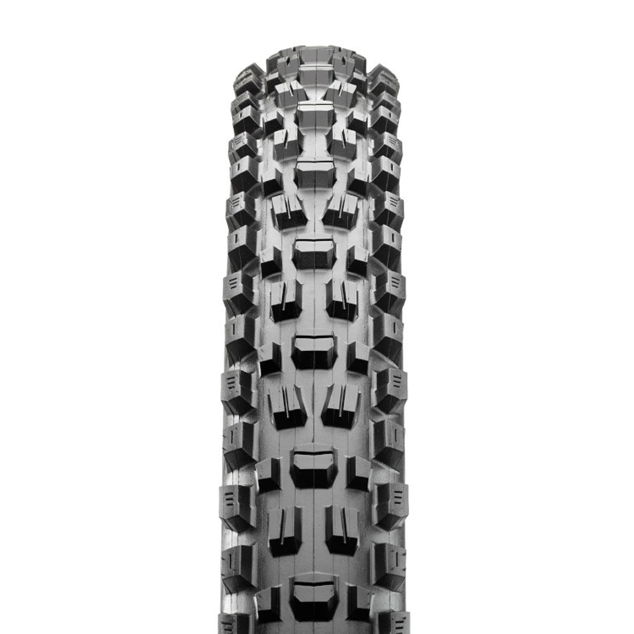 Copertone Maxxis Assegai 3C MaxxTerra EXO+ TR 29x2.60 - Novo Cicli