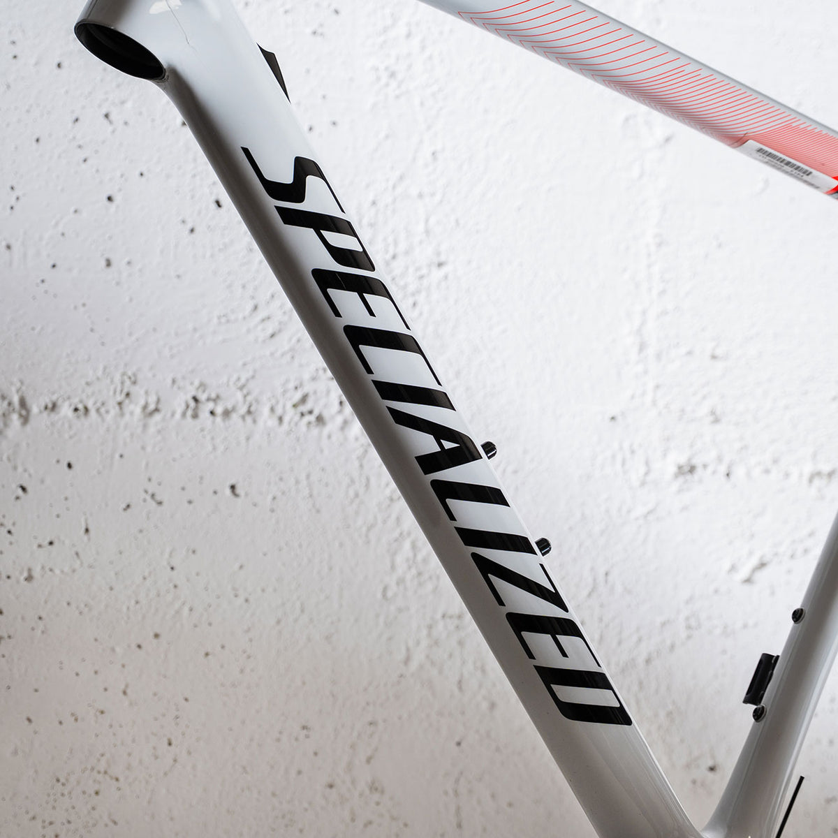 Telaio Usato in carbonio Specialized Tarmac SL6 dettaglio