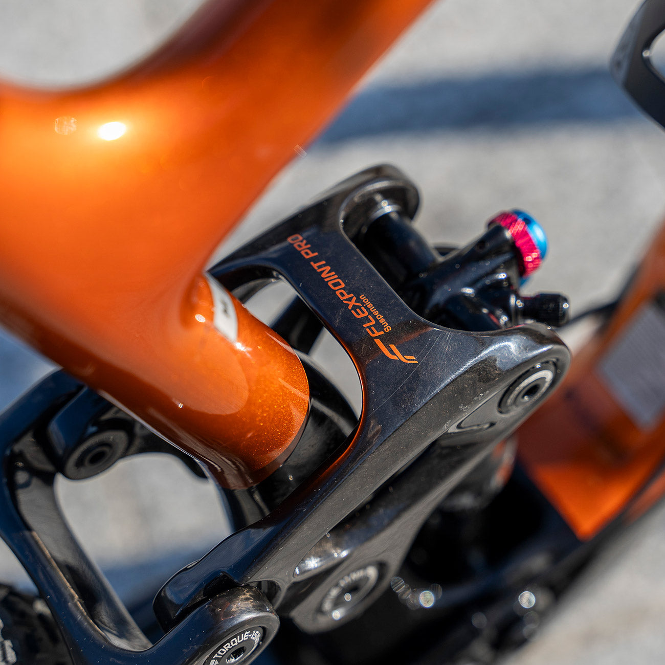 foto dettaglio link ammortizzatore in carbonio giant flexpoint